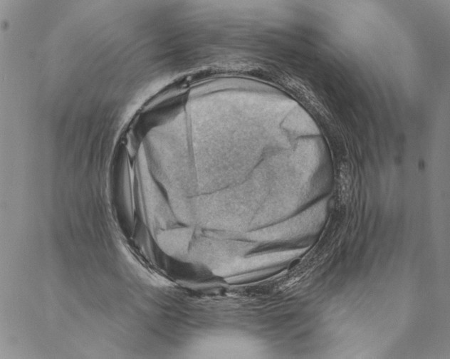 X0000088160726200706121600