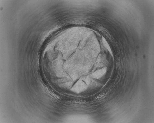 X0000088160727200706121600