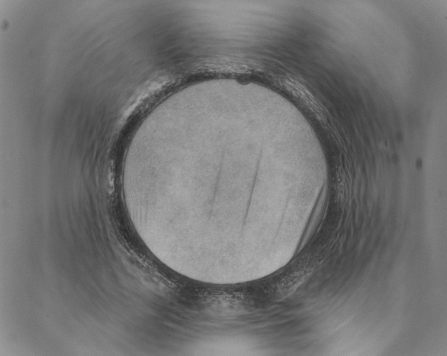 X0000088160731200706121600