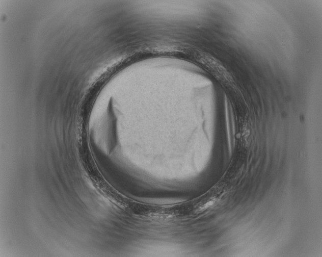 X0000088160732200706121600