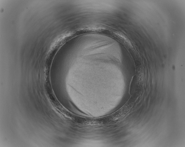 X0000088160736200706121601