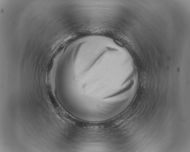 X0000088160740200706121601