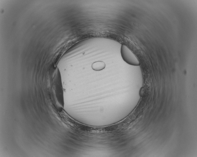 X0000088160744200706121601