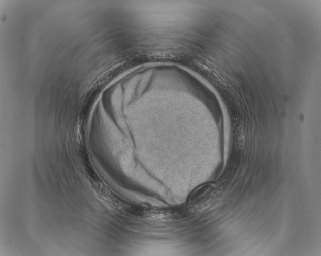 X0000088160746200706121601