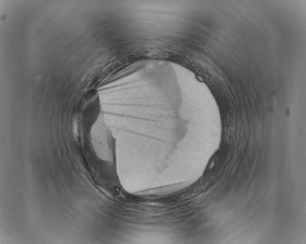 X0000088160748200706121601