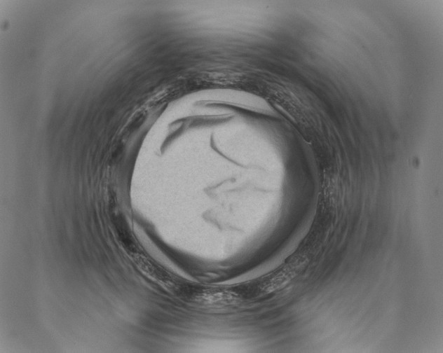 X0000088160752200706121601