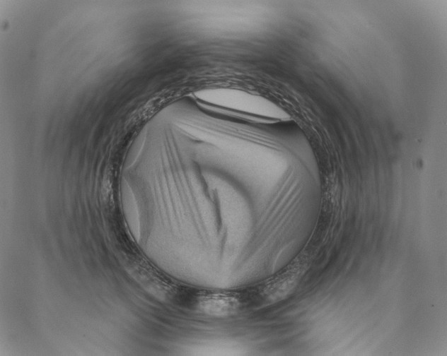 X0000088160754200706121601