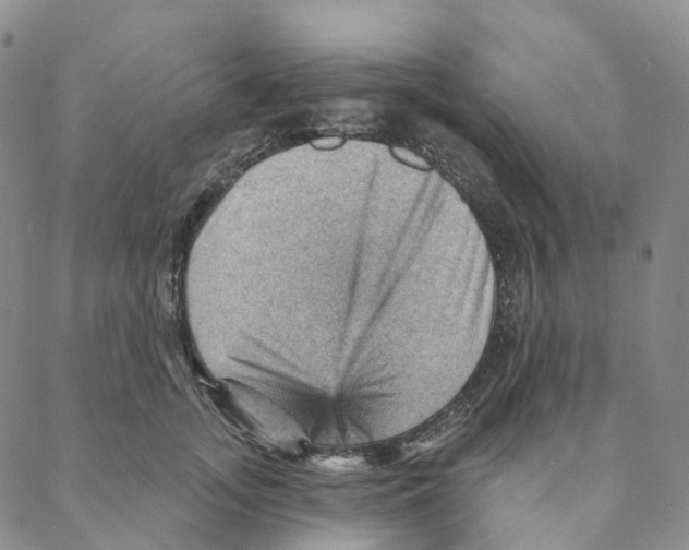 X0000088160755200706121601