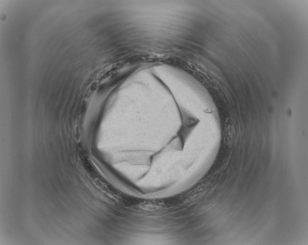 X0000088160756200706121601
