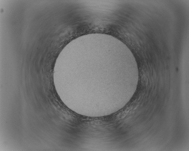 X0000088160769200706121600