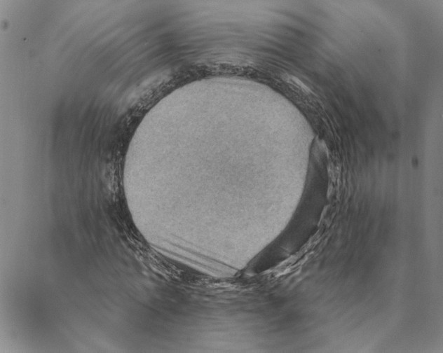 X0000088160774200706121600