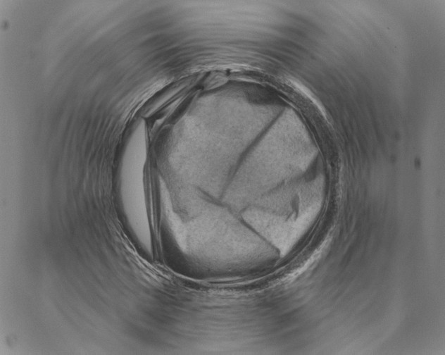 X0000088160777200706121600