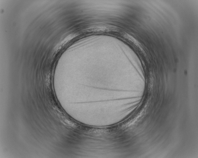 X0000088160778200706121600