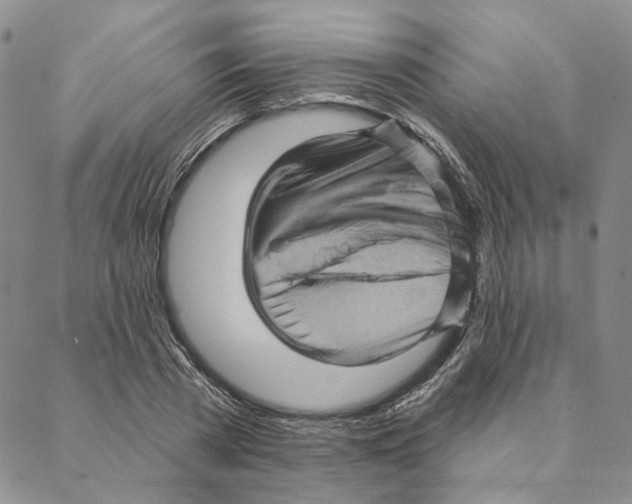 X0000088160785200706121600