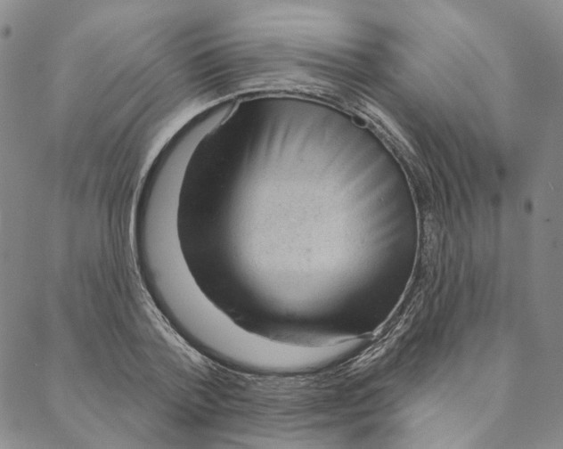 X0000088160788200706121600