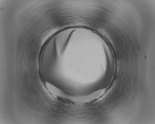 X0000088160789200706121600