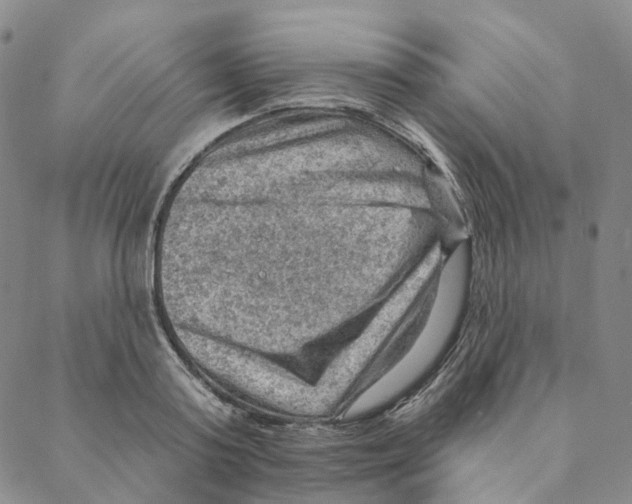 X0000088160795200706121600