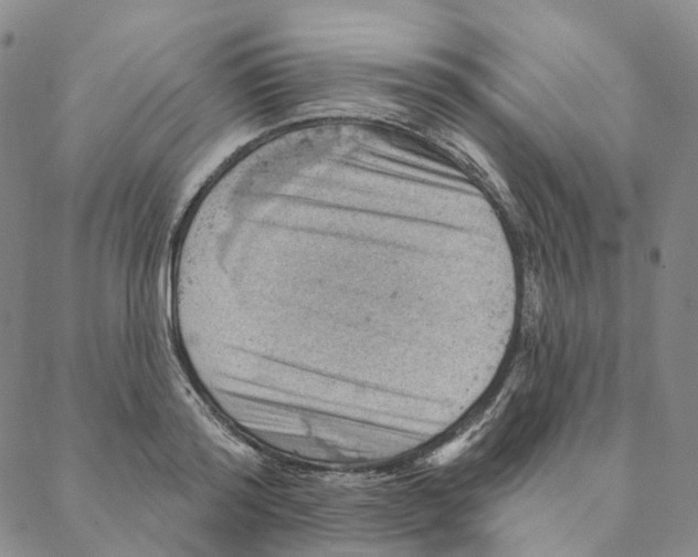 X0000088160796200706121600