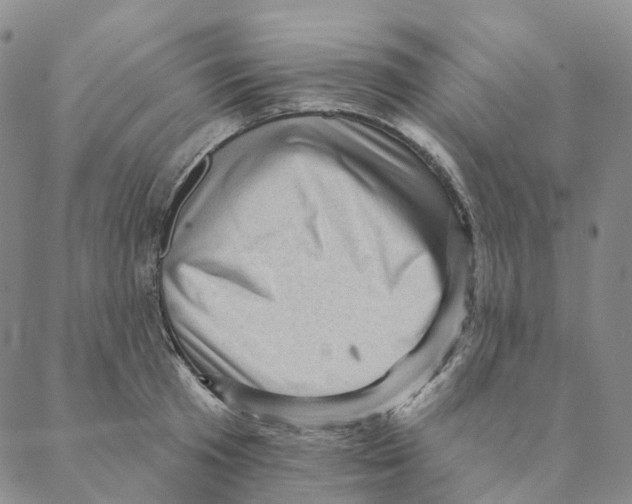 X0000088160801200706121600