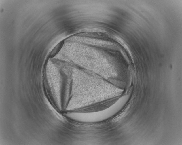X0000088160803200706121600