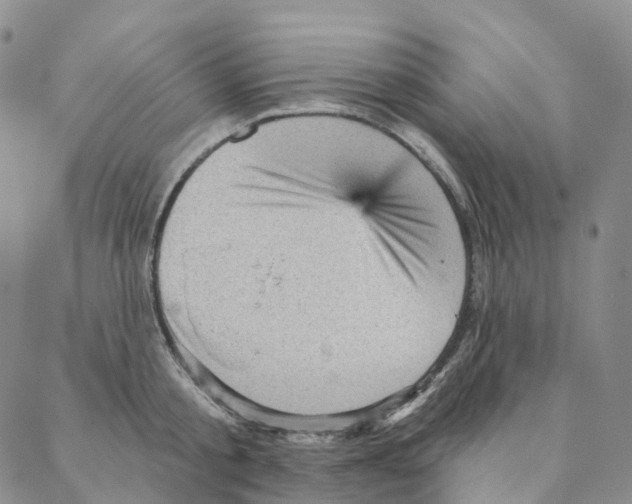 X0000088160805200706121600