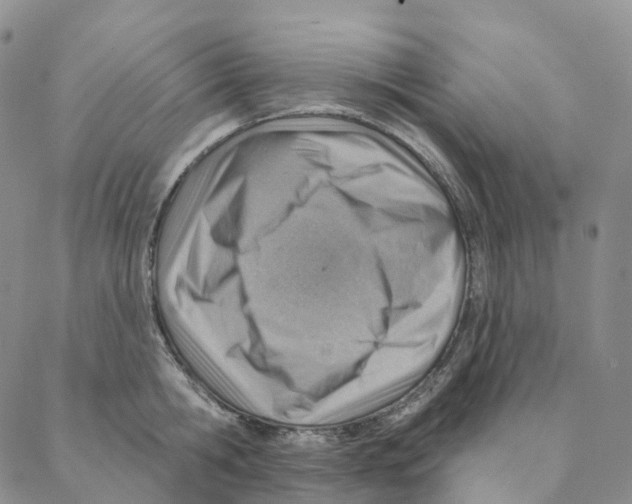 X0000088160806200706121600