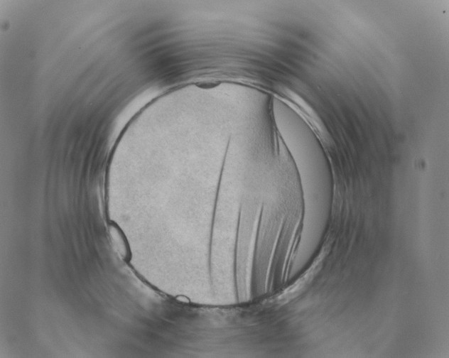 X0000088160812200706121600