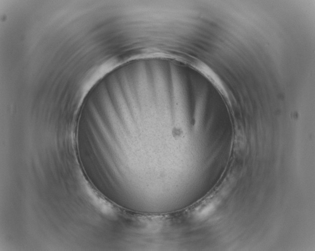 X0000088160813200706121600