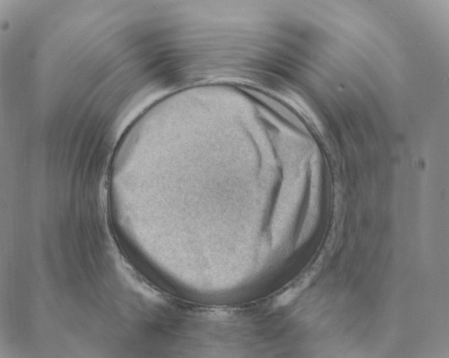 X0000088160814200706121600