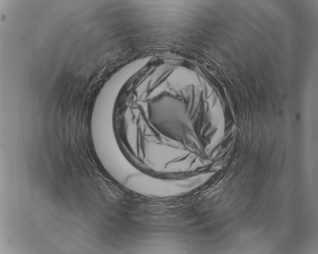X0000088160818200706121559