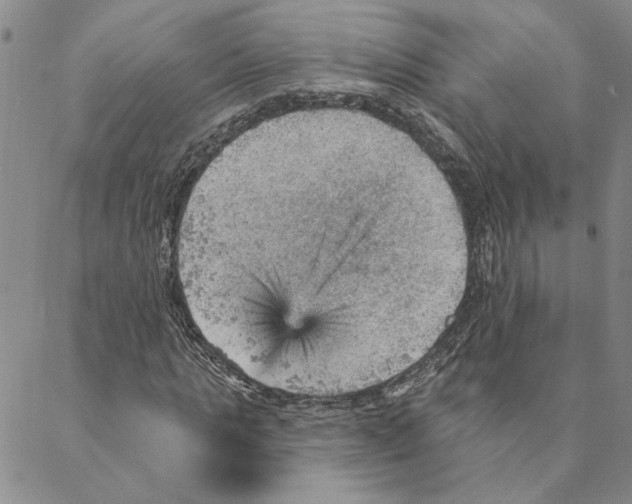 X0000088160821200706121559