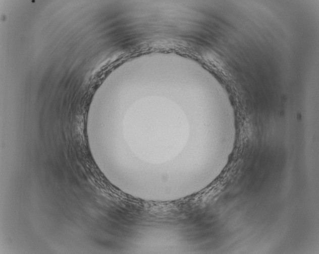 X0000088160824200706121559