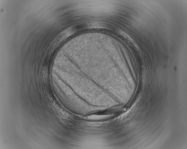X0000088160825200706121559