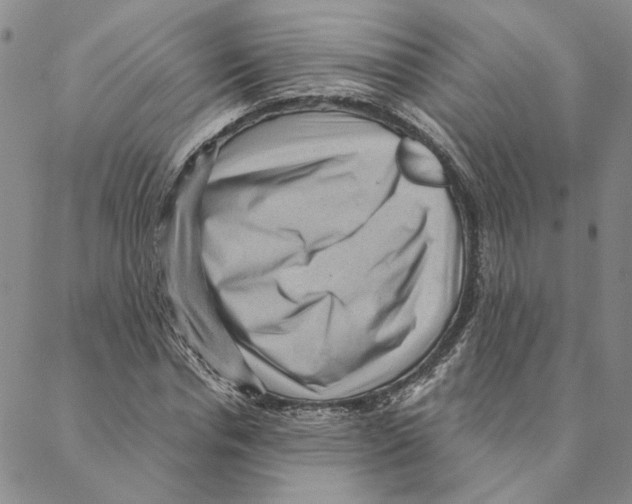X0000088160826200706121559