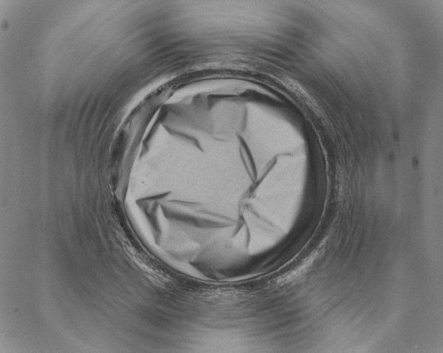X0000088160830200706121559