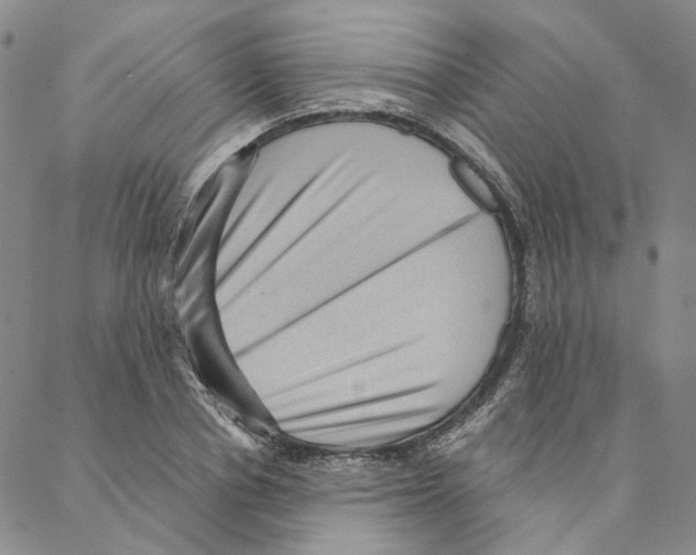 X0000088160834200706121559