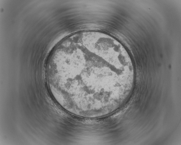 X0000088160835200706121559