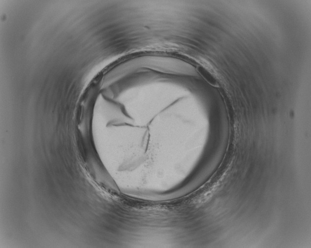 X0000088160838200706121559