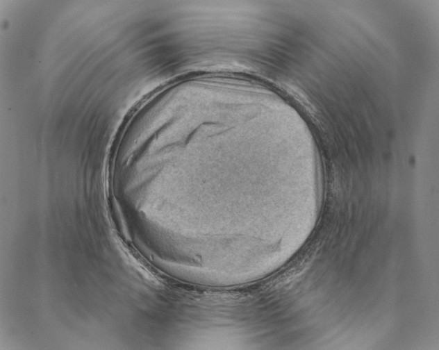 X0000088160840200706121559