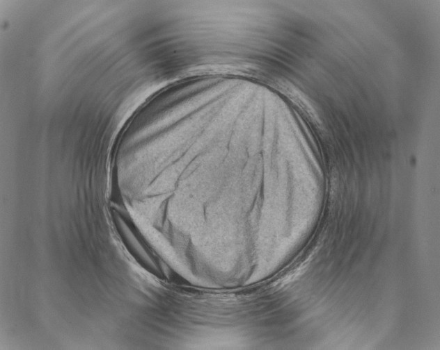 X0000088160844200706121559