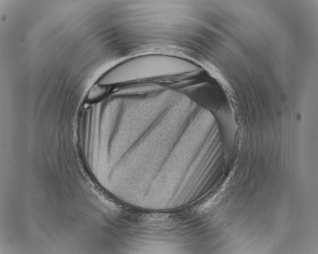 X0000088160846200706121559