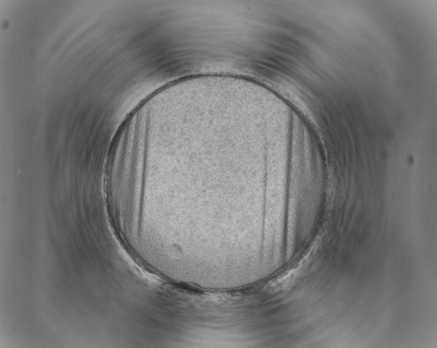 X0000088160847200706121559