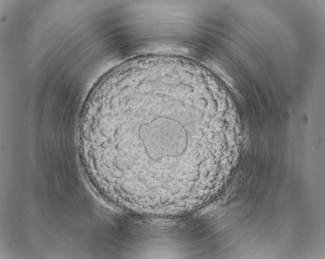 X0000088160848200706121559