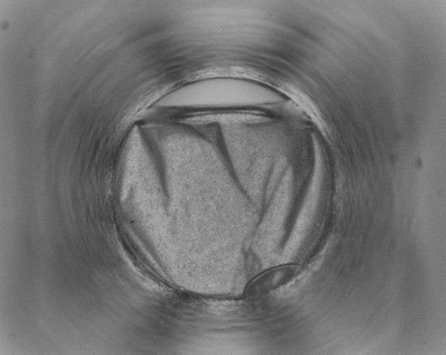 X0000088160849200706121559