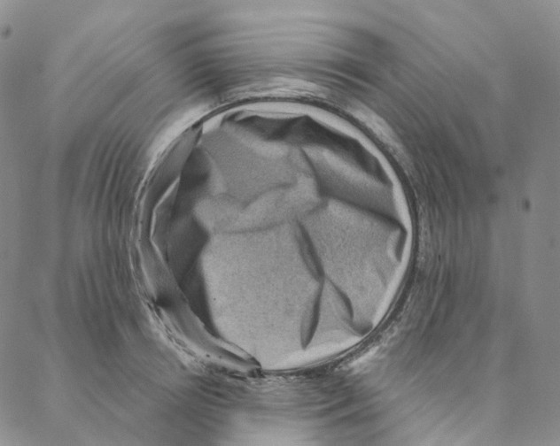 X0000088160850200706121559