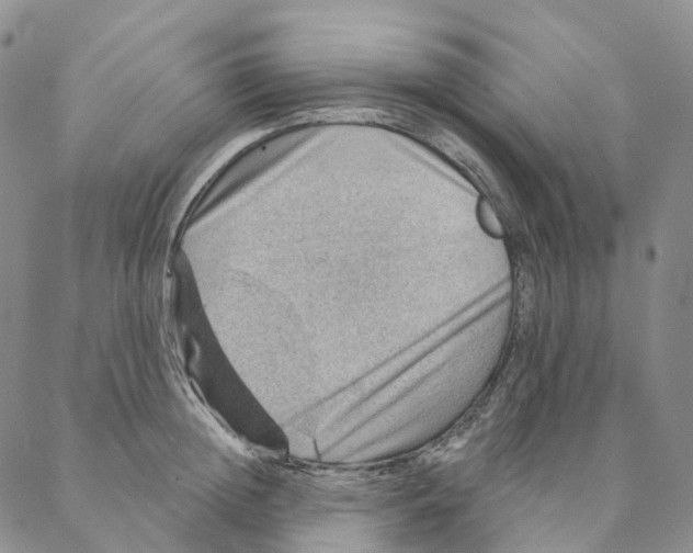 X0000088160852200706121559