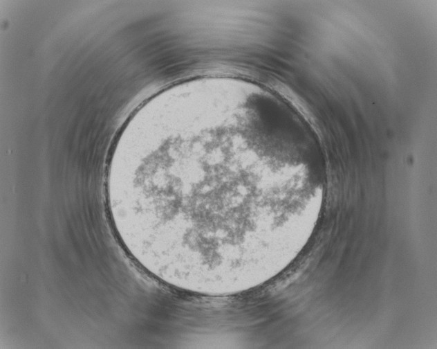 X0000088160853200706121559
