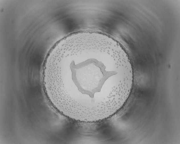 X0000088160856200706121559