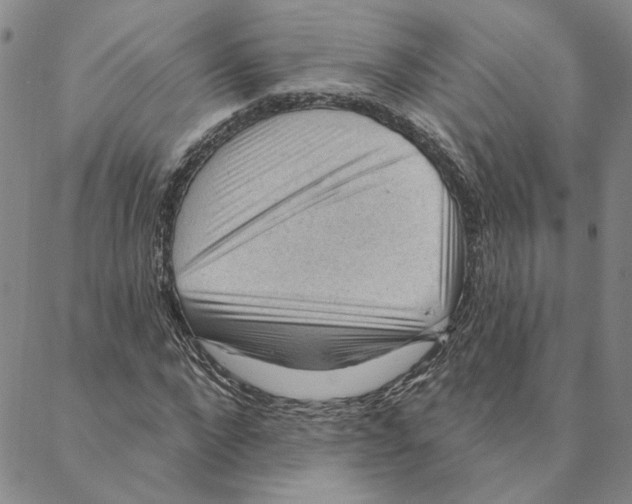 X0000088160872200706121559