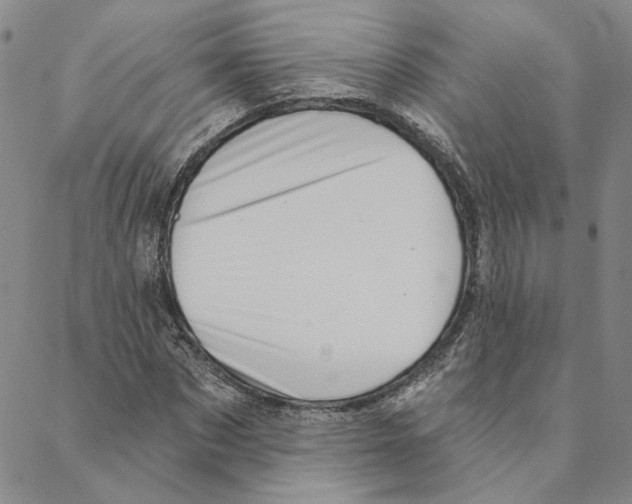 X0000088160873200706121559
